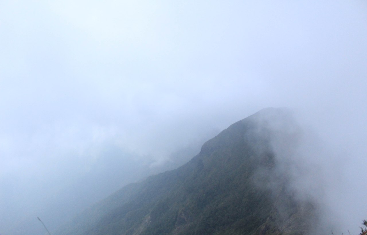 Ilustrasi jalur gunung berkabut
